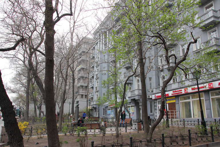 Серая Лошадь)